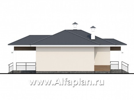«Безоблачный» - проект одноэтажного дома (дача), с террасой, планировка 3 спальни - превью фасада дома