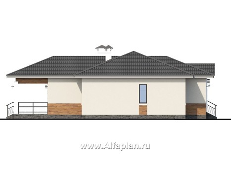 Проекты домов Альфаплан - «Витамин» - одноэтажный дом с большой гостиной и крытой террасой - превью фасада №3